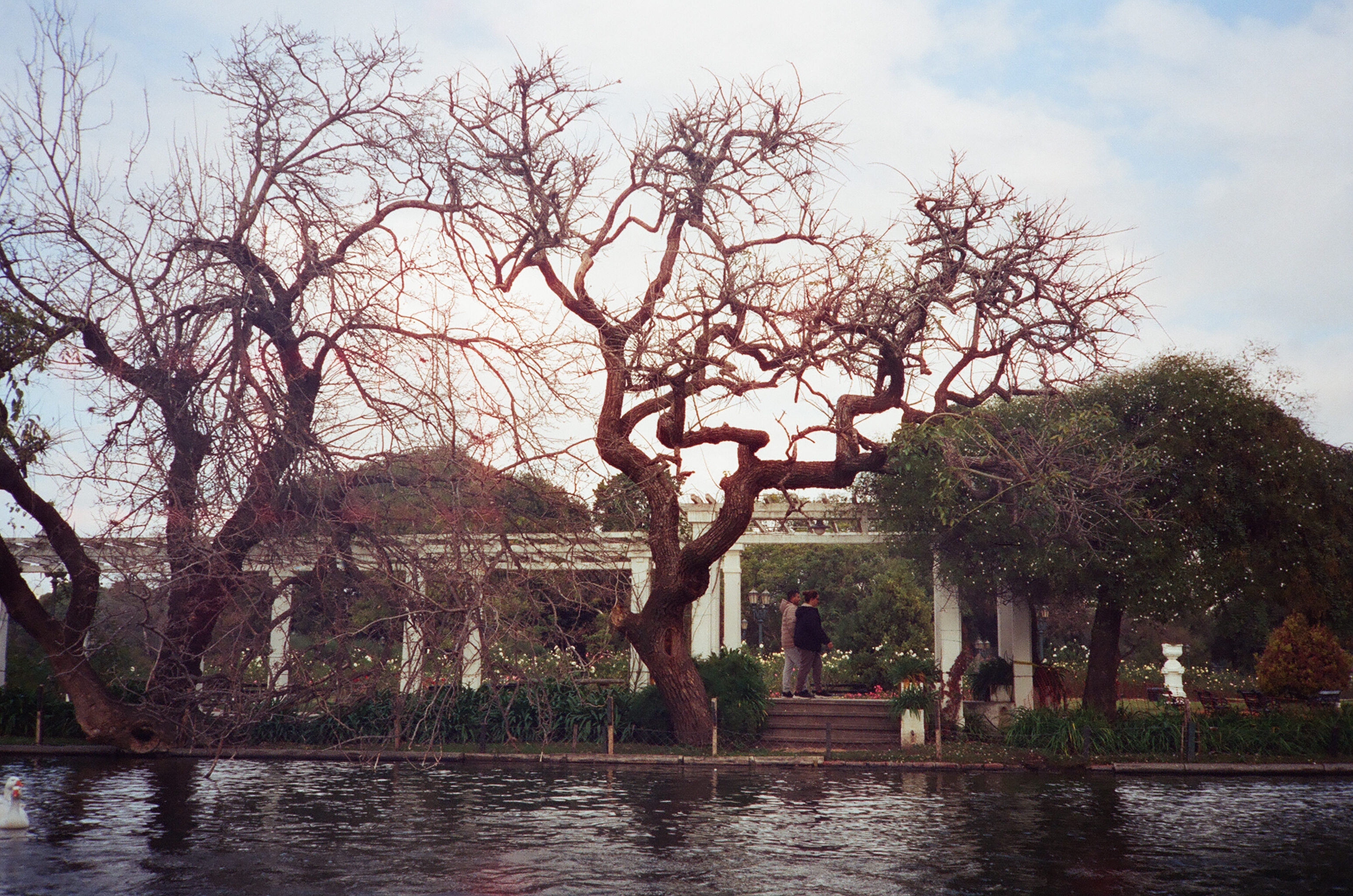 Argentina lakeside