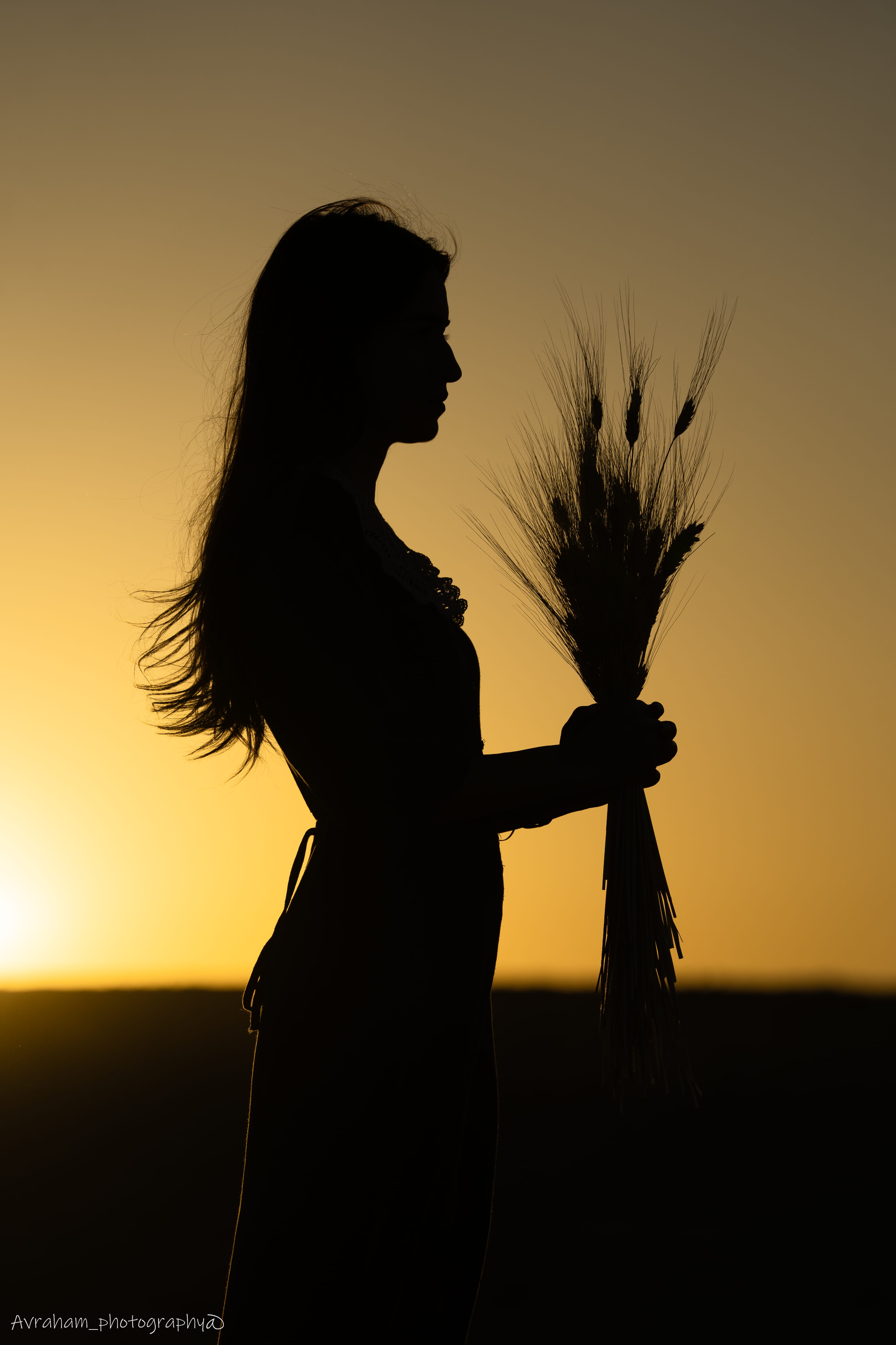 Shavuot silhouette